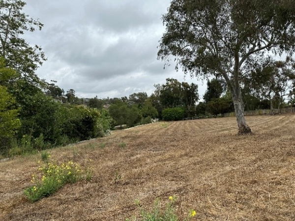 Photograph of open space vacant land for L7 Park Development